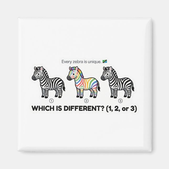 Aimant Zèbre qui est différent (Devant)