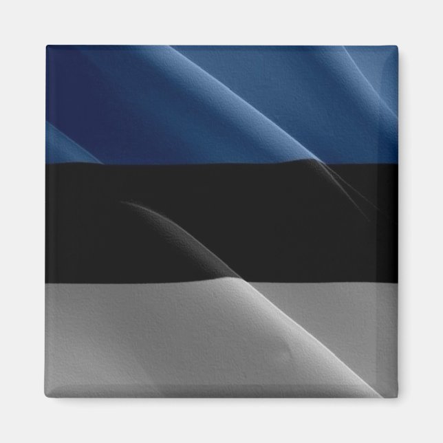 Aimant zEE002 ESTONIAN agitant DRAPEAU Estonie - Frigo (Devant)