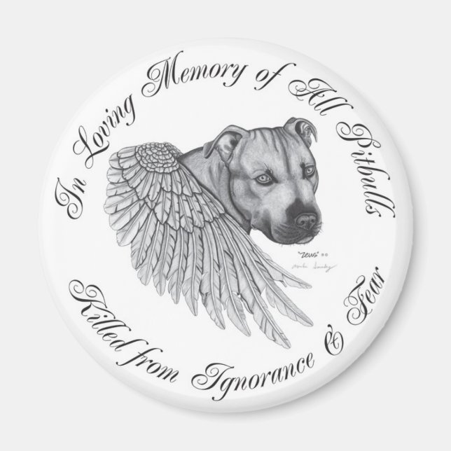 Aimant Zeus angel (Devant)