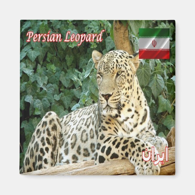 Aimant zIR006 PERSIAN LEOPARD, Iran, Asie, Fridge (Devant)