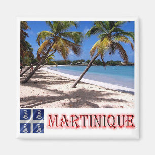 Aimant zMQ005 MARTINIQUE, plage LES SALINES, réfrigérateu