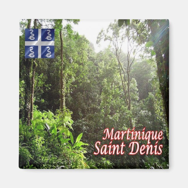 Aimant zMQ008 SAINT DENIS, Rainforest, Martinique, Réfrig (Devant)