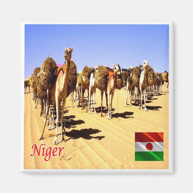 Aimant zNE007 NIGER, Oasis Bilma, Afrique, Frigo (Devant)