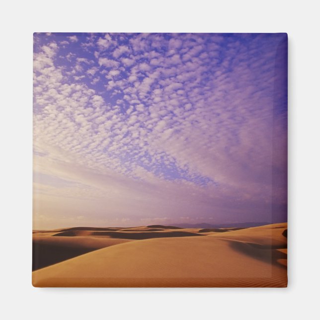 Aimant Zone de loisirs nationale des dunes de l'Oregon, O (Devant)