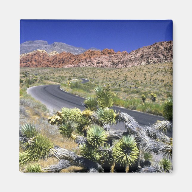 Aimant Zone nationale de conservation de Red Rock Canyon, (Devant)