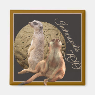 Aimant Zoo de Meerkats Indianapolis