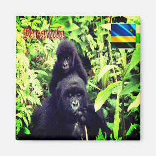 Aimant zRW003 RWANDA, Gorilla au parc national, Fridge