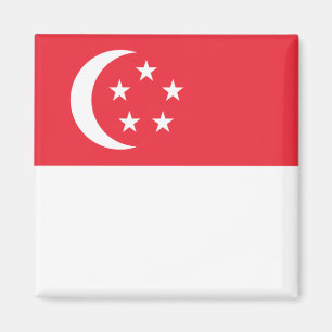 Aimant zSG001 Singaporean FLAG Singapore, Fridge