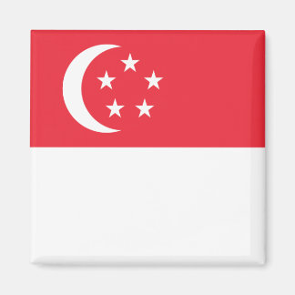Aimant zSG001 Singaporean FLAG Singapore, Fridge