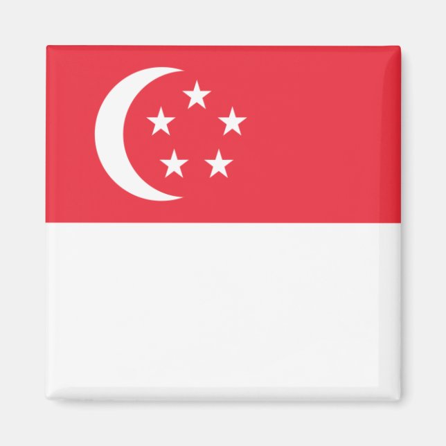 Aimant zSG001 Singaporean FLAG Singapore, Fridge (Devant)