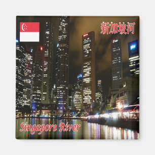 Aimant zSG007 SINGAPORE Raffles Place LION CITY, Fridge
