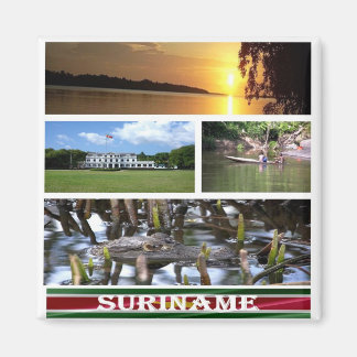 Aimant zSR003 SURINAME, Mosaïque, Amérique, Frigo