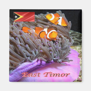 Aimant zTL009 ANEMONEFISH du Timor oriental, Asie, Fridge