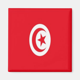 Aimant zTN001 TUNISIE, Drapeau, Afrique, Réfrigérateur