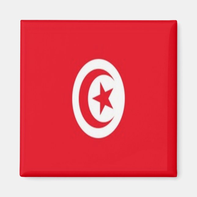 Aimant zTN001 TUNISIE, Drapeau, Afrique, Réfrigérateur (Devant)
