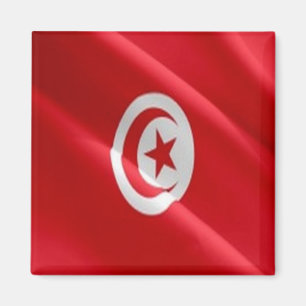 Aimant zTN002 TUNISIE, Drapeau, Afrique, Réfrigérateur