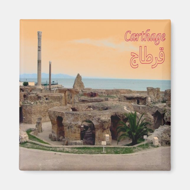 Aimant zTN005 CARTHAGE, Tunisie, Afrique, Réfrigérateur (Devant)