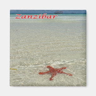 Aimant zTZ011 ZANZIBAR, Starfish, Tanzanie, Afrique, Réfr