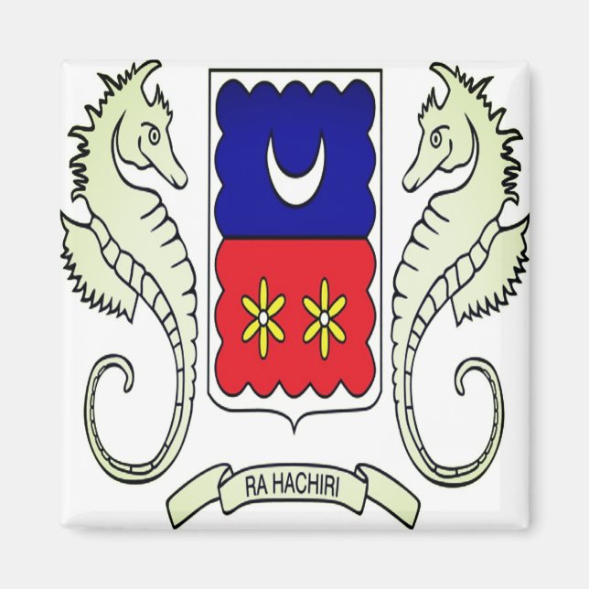 Aimant zYT001 MAYOTTE, Drapeau, Afrique, Réfrigérateur (Devant)