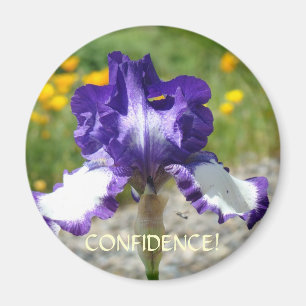 AIMANTS CADEAU DE BUREAU Fleur d'Iris Violet Mange
