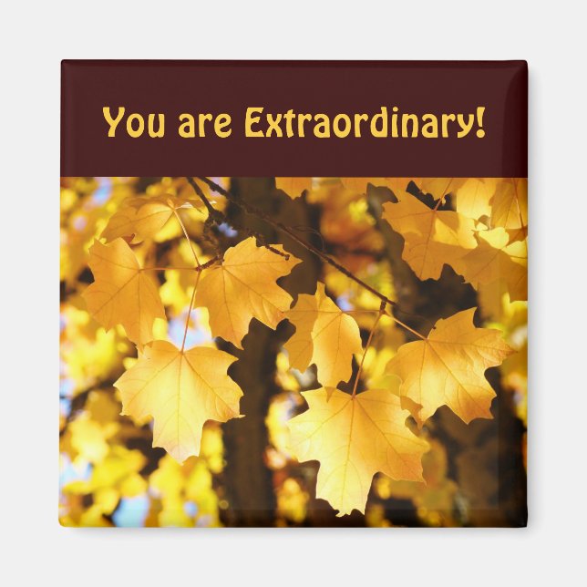 Aimants de compliment Vous êtes Extraordinaire Aut (Devant)