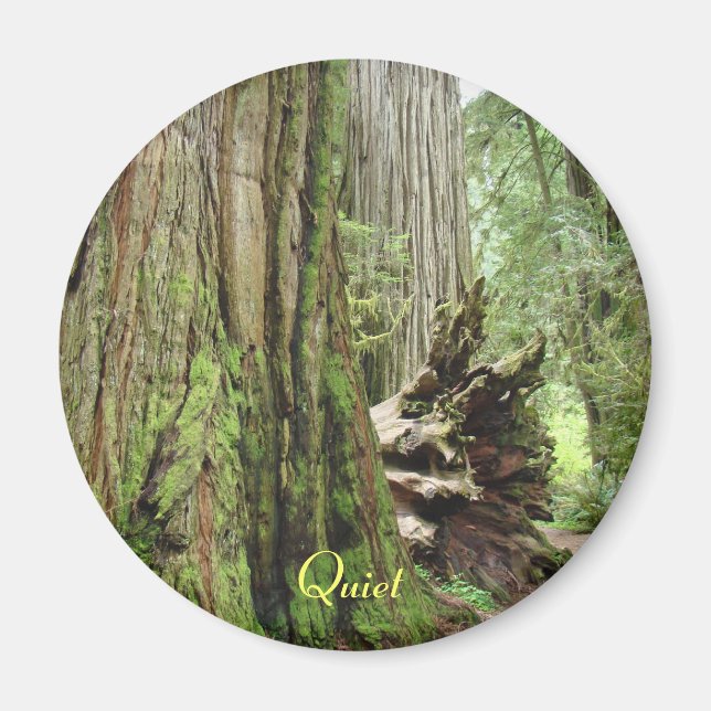 Aimants de forêt de grands séquoias californiens s (Devant)