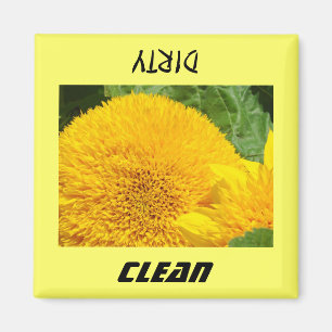 Aimants de lave-vaisselle Fleurs de tournesol prop