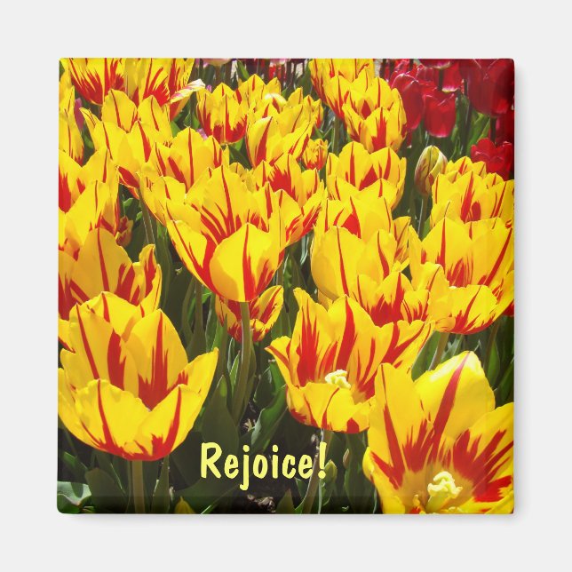 Aimants de Pâques Tulipes fleurs aimant Réjouir (Devant)