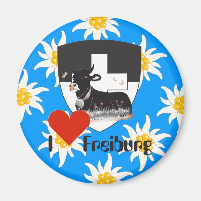 Aimants Fribourg Suisse (Devant)