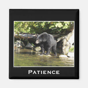 Aimants Motivationnels Ours Noir