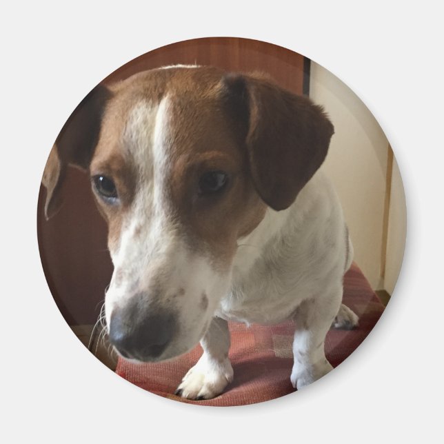 Aimants personnalisés (Devant)