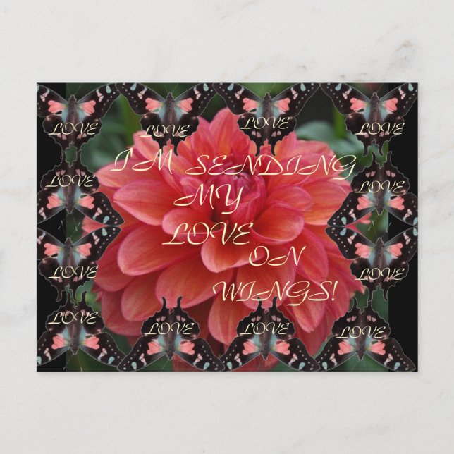 AIME LES AILES ! Carte postale (Devant)