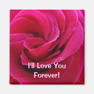 Aimé pour toujours ! aimant Fleurs Rose Rose