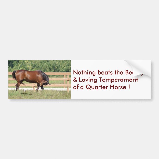 Aimer Belle Quarter Sticker Cheval Bumper (Devant)