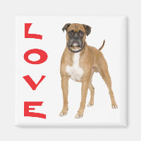 Aimer Boxer Chien Chien Chien Chien Chien Aimant