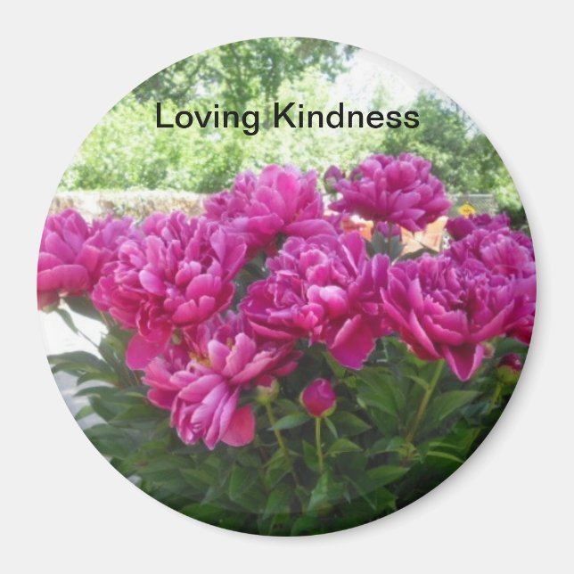 Aimer Kindness Peony Magnet (Devant)