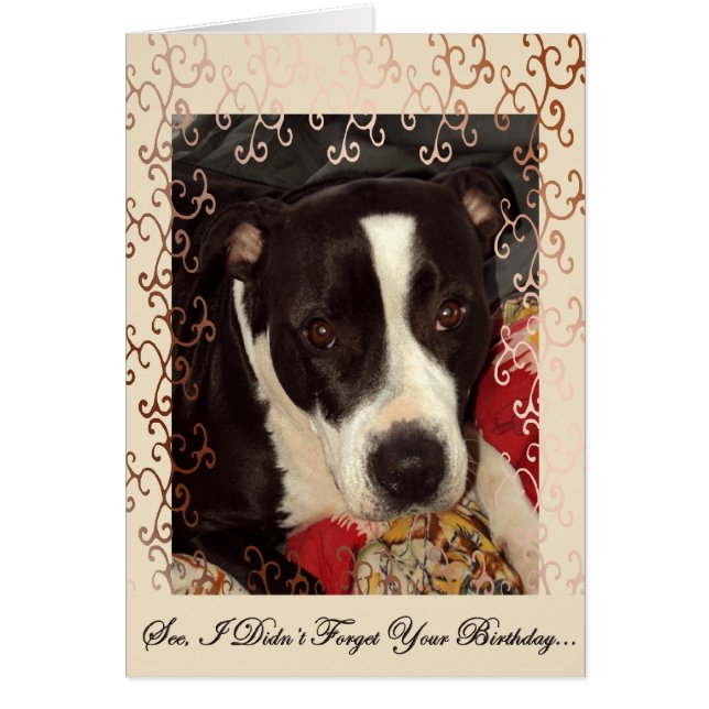 Aimer les yeux (Devant)