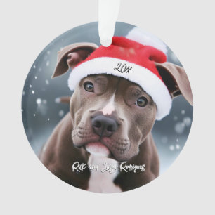 Aimer Pit Bull avec Santa Hat Noël