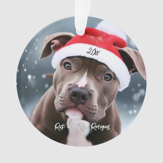 Aimer Pit Bull avec Santa Hat Noël (devant)