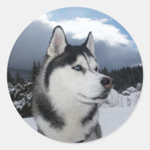 Aimer Sibérie Husky Chien Chien Chien Stickers de