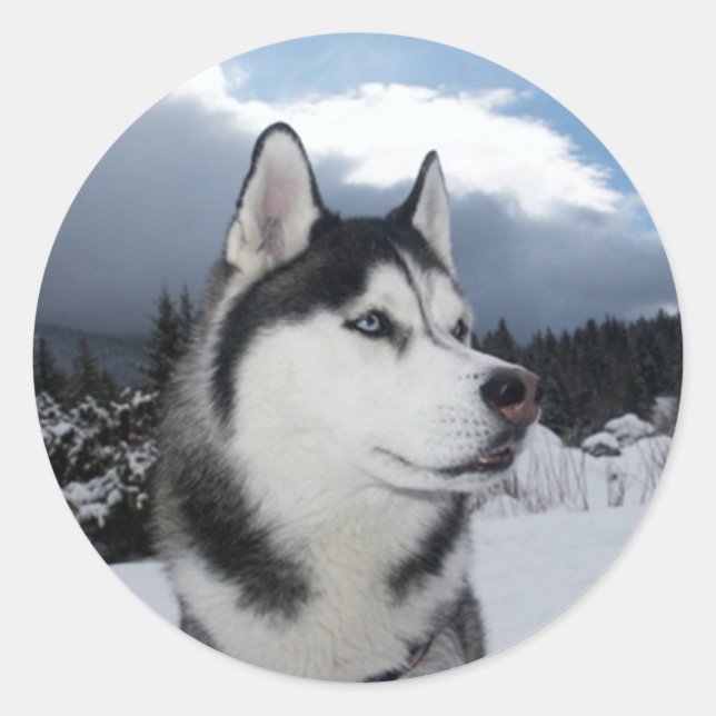 Aimer Sibérie Husky Chien Chien Chien Stickers de  (Devant)