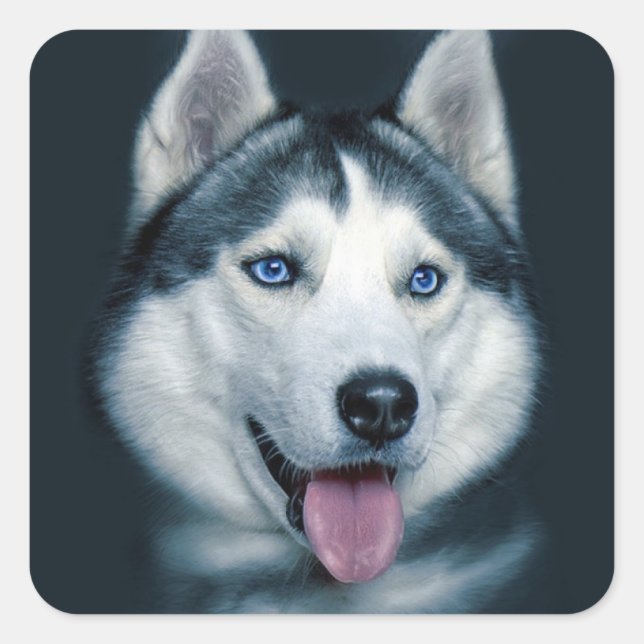 Aimer Sibérie Husky Chien Chien Chien Stickers de  (Devant)