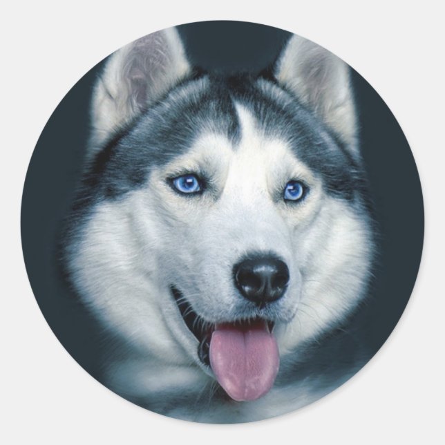 Aimer Sibérie Husky Chien Chien Chien Stickers de  (Devant)