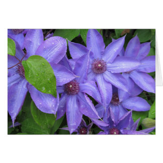 Aimez-moi bleu - série de TBD