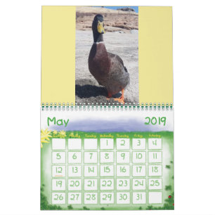 Aimez-moi quelques Nibbles 2019 Calendrier