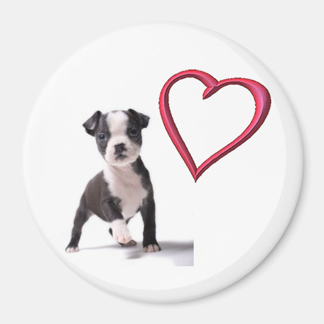 Aimez Mon Boston Chien Chien Chien Magnet (Devant)