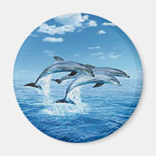 Air Dolphins Magnet