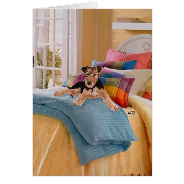 Airedale, Lakeland ou chiot Terrier gallois (Devant)