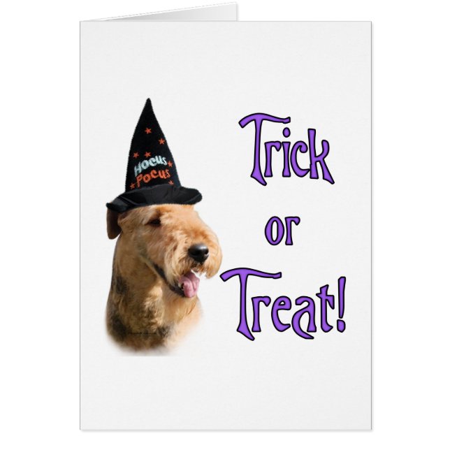 Airedale Terrier Trick (Devant)