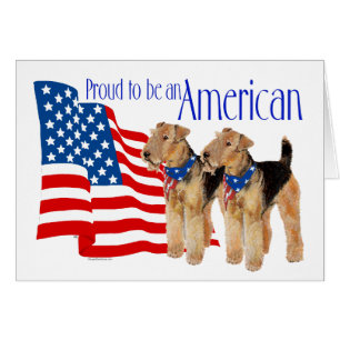 Airedales Américains Patriotiques